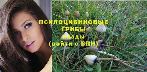 соль курить ск Алексин