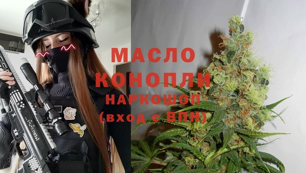 дмт Алзамай