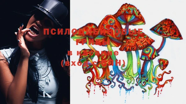 соль курить ск Алексин