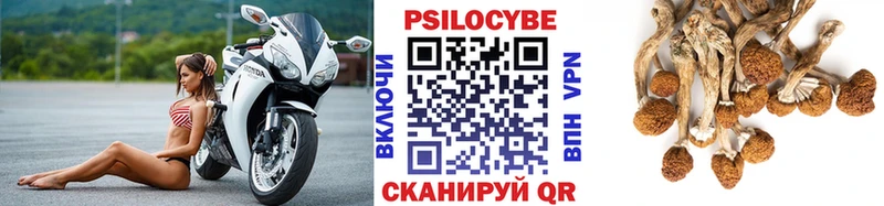 Псилоцибиновые грибы прущие грибы  где продают наркотики  Тольятти 