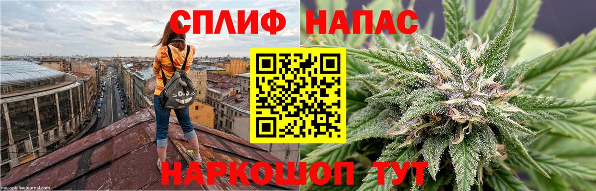 Канабис ГИДРОПОН Тольятти
